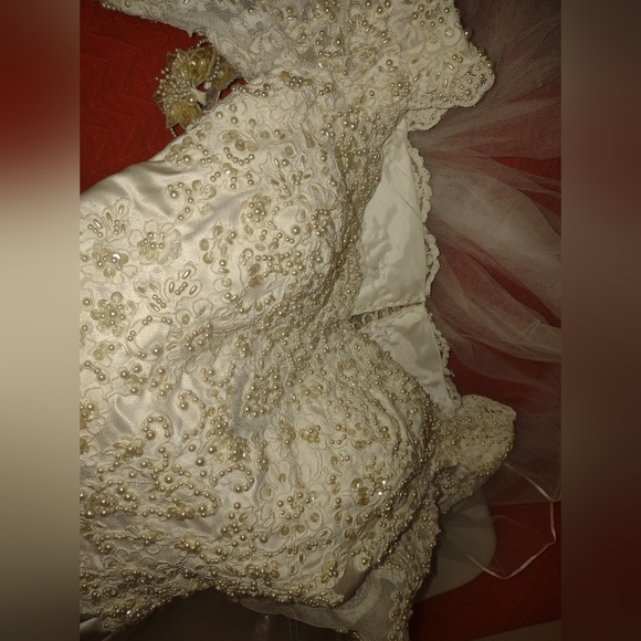 Wedding Dress - Picture 16 of 16